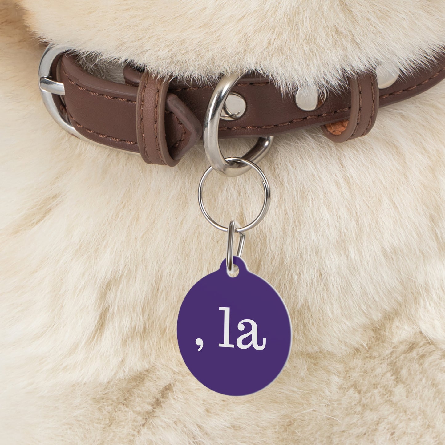 , la Cat Tag