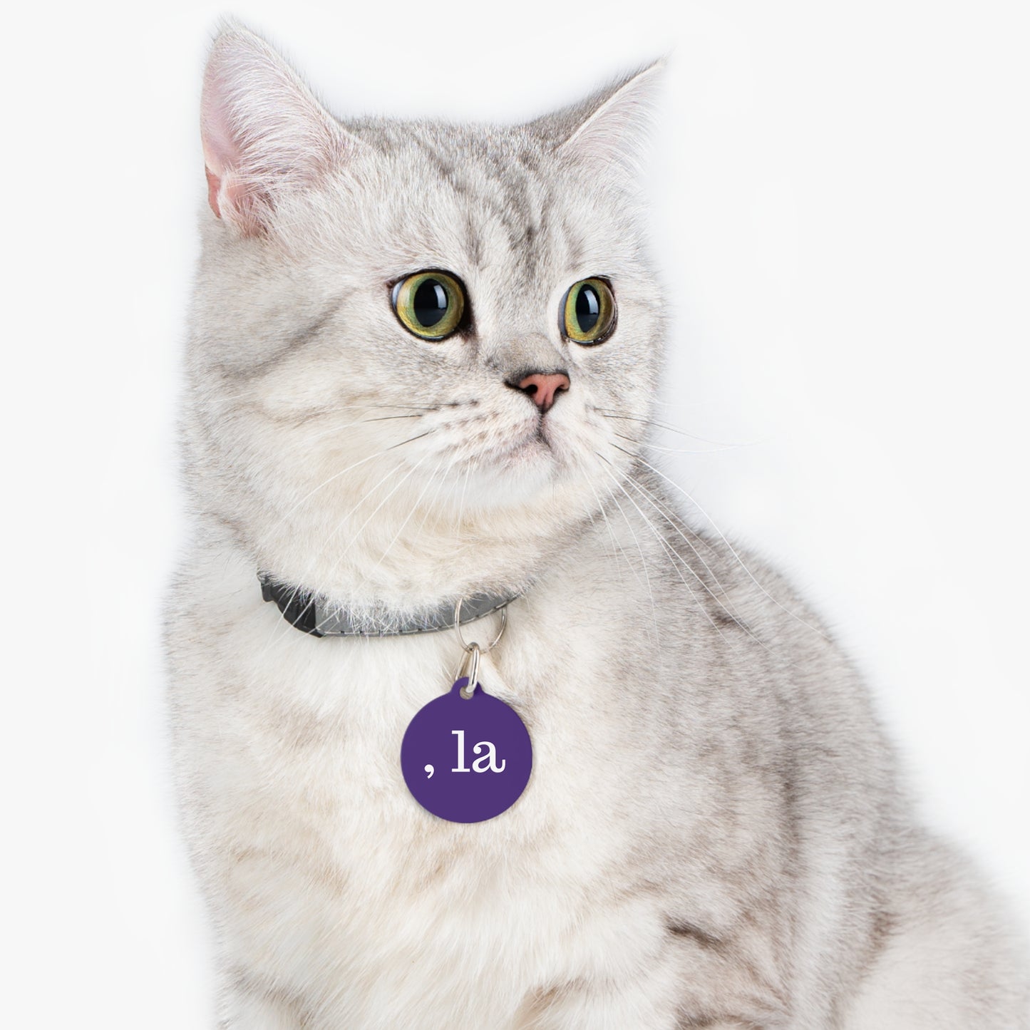 , la Cat Tag
