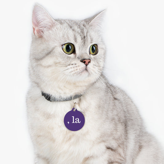 , la Cat Tag