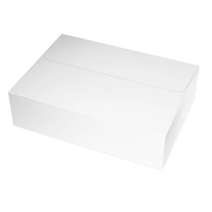 Owl | Thank You Notes